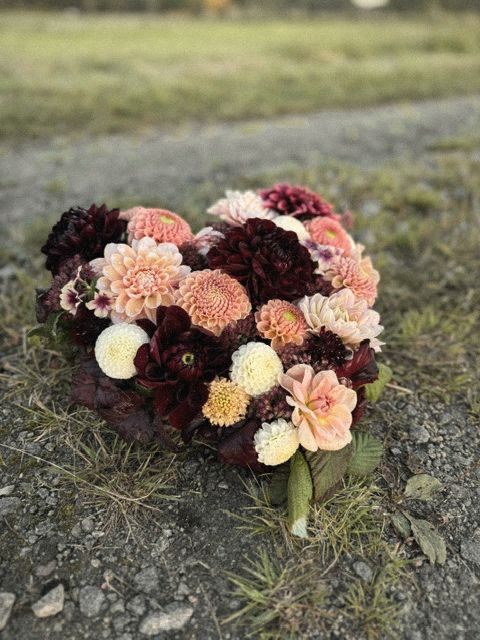 Blomsterhjärta av mörkröda och aprikosa dahlior